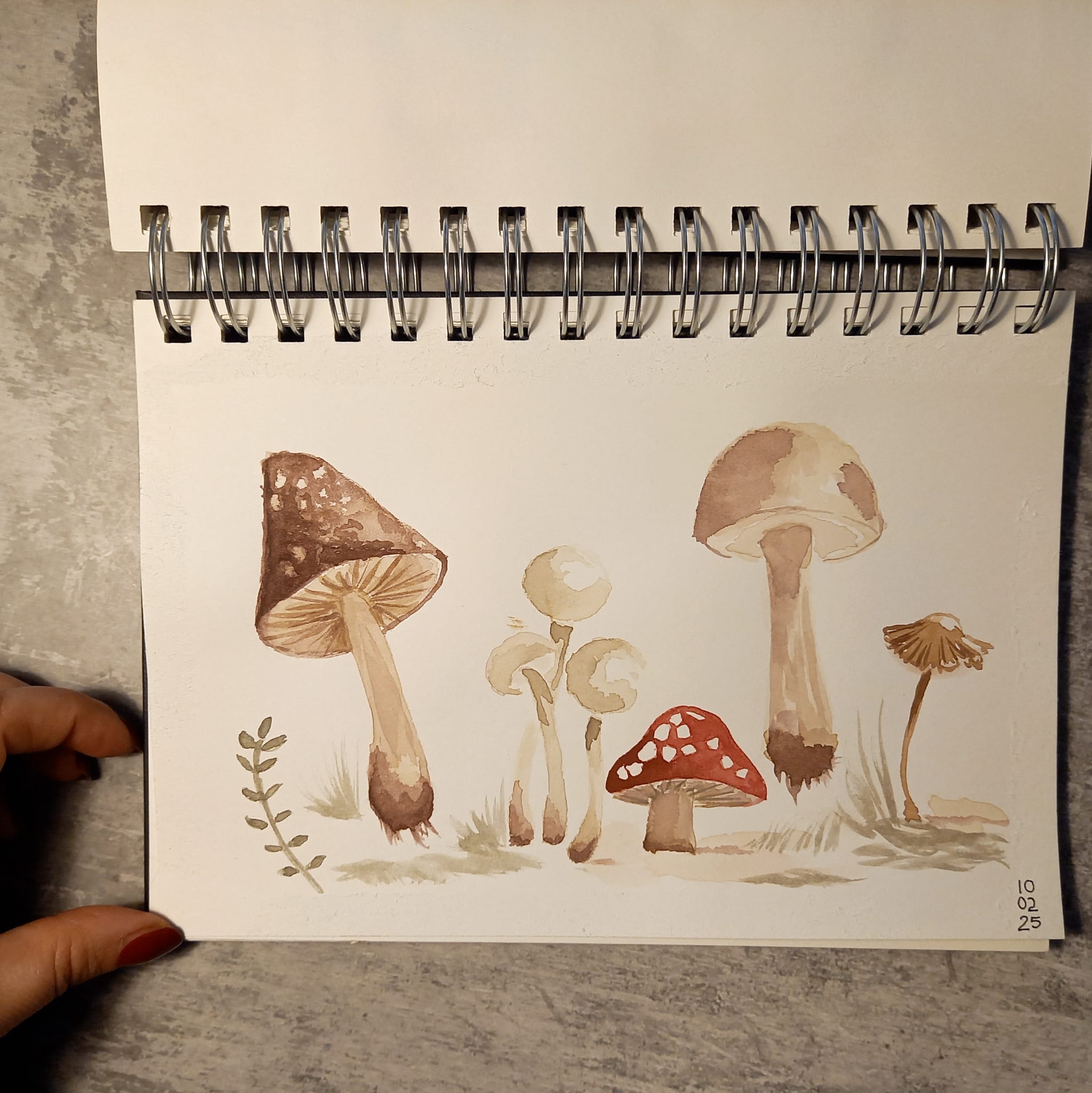 Mushrooms 1